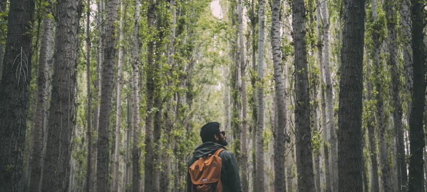 Dear Men (From a Woman)